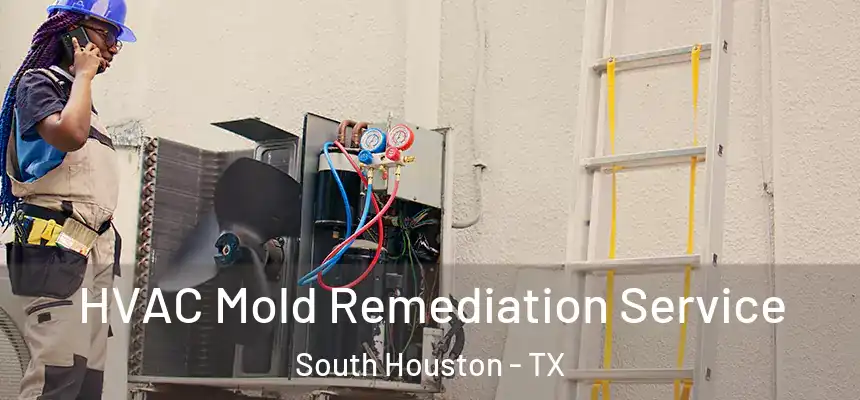  HVAC Mold Remediation Service South Houston - TX