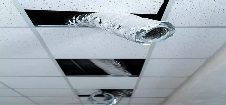 Our Air Duct Pet Hair Removal Services in South Houston, TX