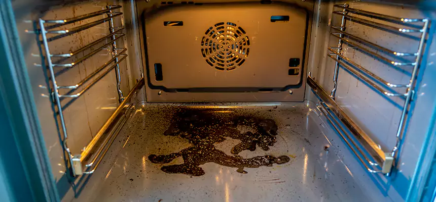 Our Dryer Vent Mold Cleaning Services in South Houston, TX