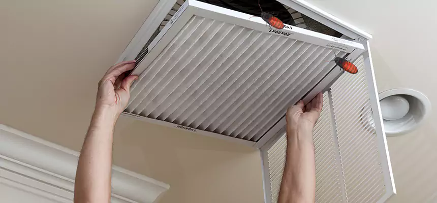 Our Insect Removal from Air Ducts Services in South Houston, TX