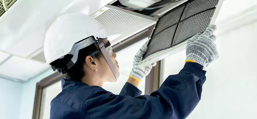 Our Mold & Mildew Removal from Air Ducts Services in South Houston, TX