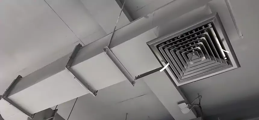 Our Pest Removal From Ducts Services in South Houston, TX