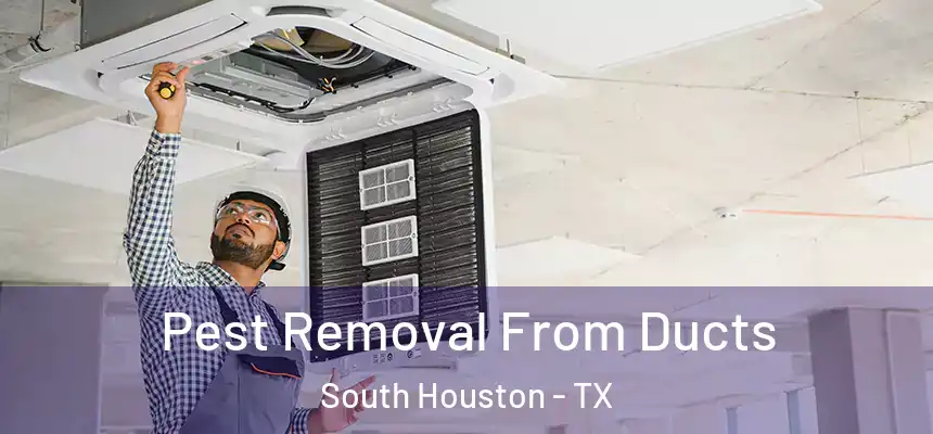  Pest Removal From Ducts South Houston - TX