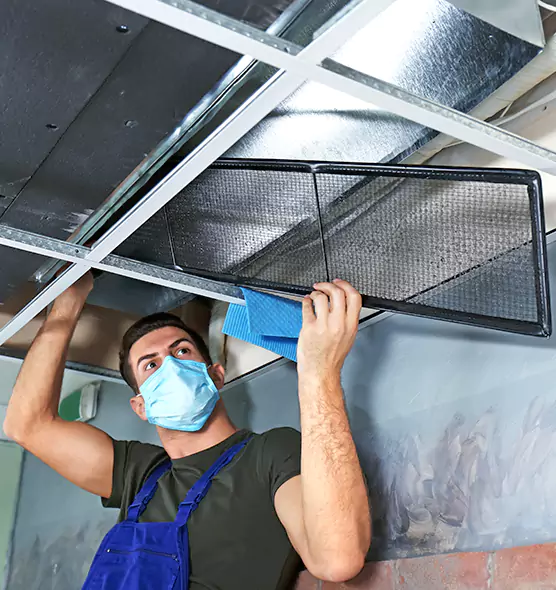 About Air Duct Bacteria Removal in South Houston