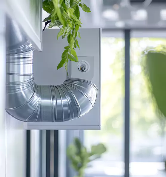 Professional Eco-Safe Dryer Vent Cleaning in South Houston, TX