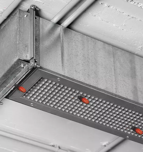 Affordable Insect Removal from Air Ducts in South Houston, TX