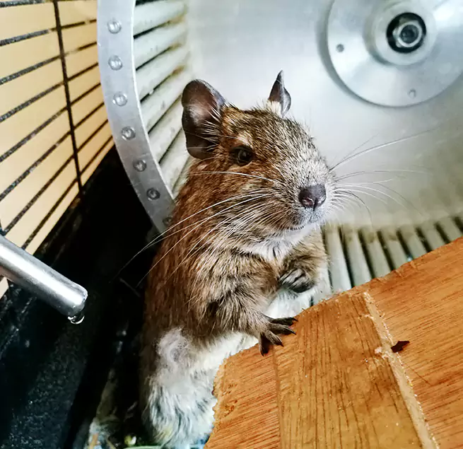 Why Homeowners & Businesses Trust Us South Houston, TX