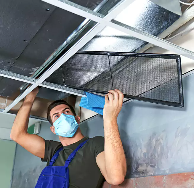 Why Homeowners Businesses Trust Us in South Houston, TX