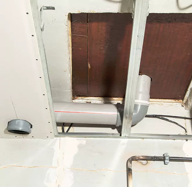 Why Homeowners & Businesses Trust Us in South Houston, TX?