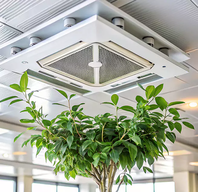 Why Homeowners & Businesses Trust Us in South Houston, TX?