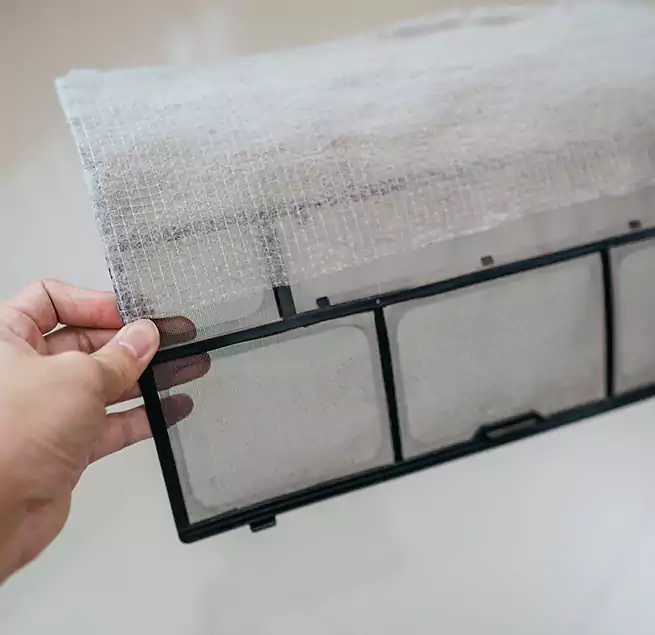 Why Homeowners & Businesses Trust Us in South Houston, TX?