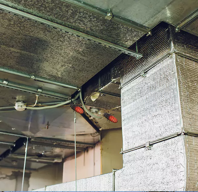 Why Homeowners & Businesses Trust Us South Houston, TX?