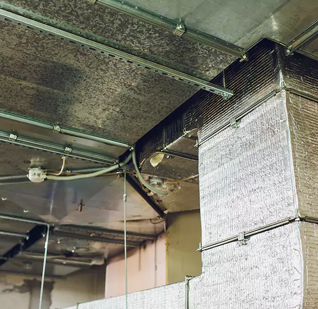 Why Homeowners & Businesses Trust Us in South Houston, TX?